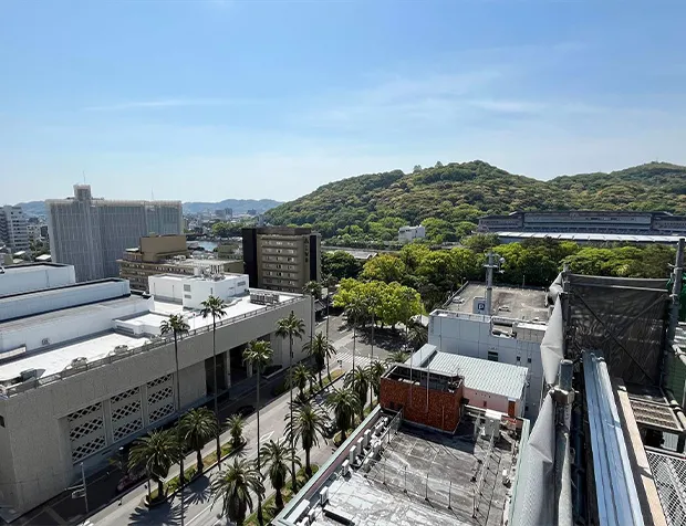 足場の頂上からの風景